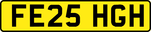 FE25HGH