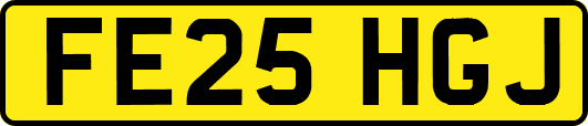 FE25HGJ