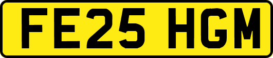 FE25HGM