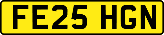 FE25HGN