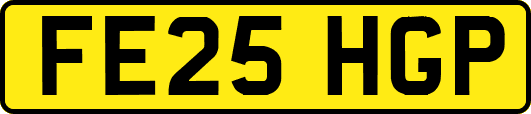 FE25HGP