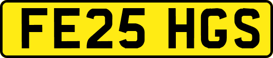 FE25HGS
