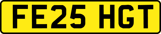 FE25HGT