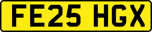 FE25HGX