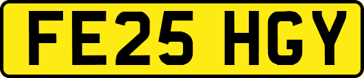 FE25HGY