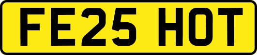 FE25HOT