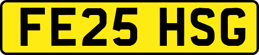 FE25HSG