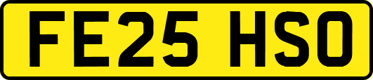 FE25HSO