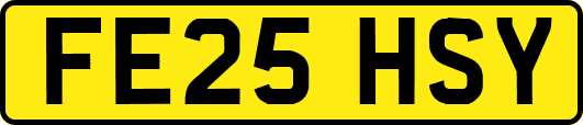 FE25HSY