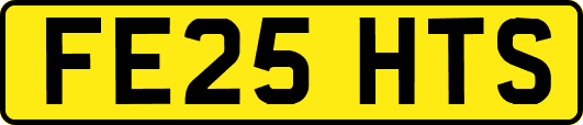 FE25HTS