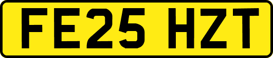 FE25HZT
