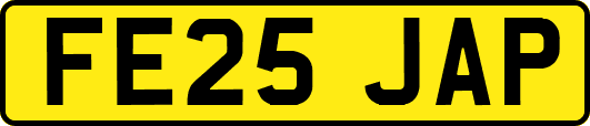 FE25JAP