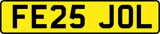 FE25JOL