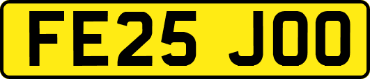 FE25JOO