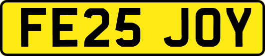 FE25JOY