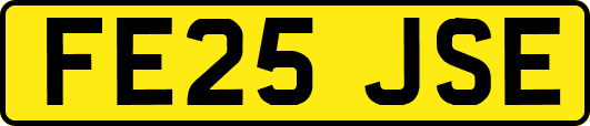 FE25JSE