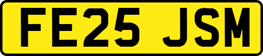 FE25JSM