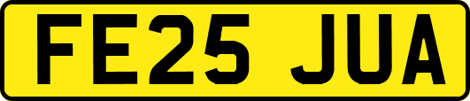 FE25JUA