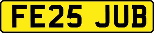 FE25JUB
