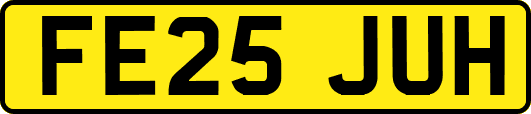 FE25JUH