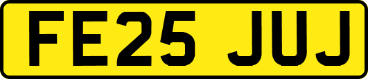 FE25JUJ