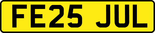 FE25JUL