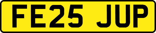 FE25JUP