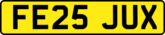 FE25JUX