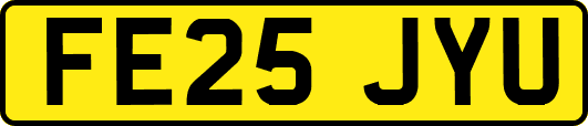 FE25JYU
