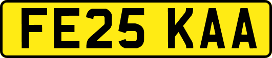 FE25KAA