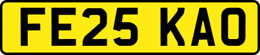 FE25KAO