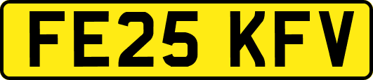 FE25KFV