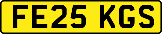 FE25KGS