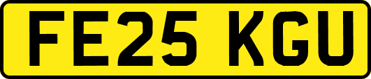 FE25KGU