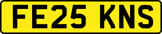 FE25KNS