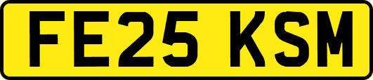 FE25KSM