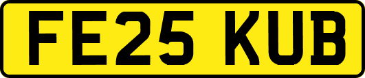 FE25KUB