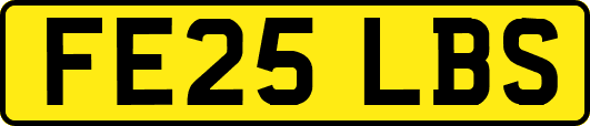 FE25LBS