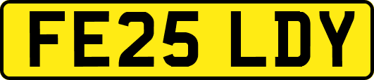 FE25LDY