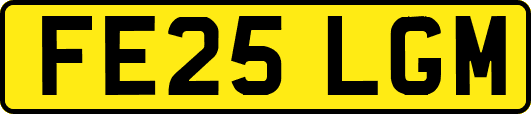 FE25LGM