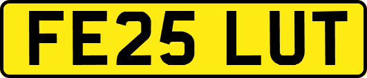 FE25LUT