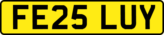FE25LUY