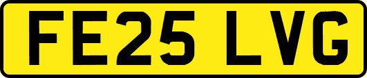 FE25LVG