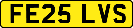 FE25LVS