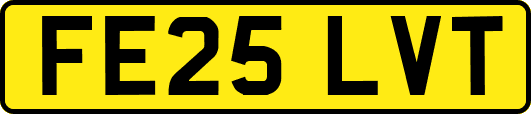 FE25LVT