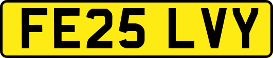 FE25LVY