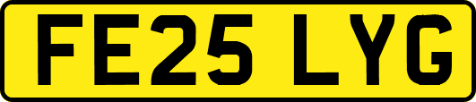 FE25LYG