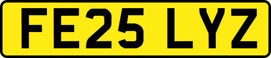 FE25LYZ