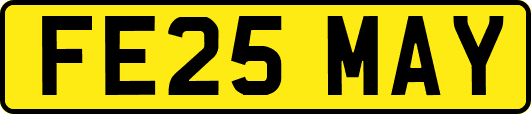 FE25MAY