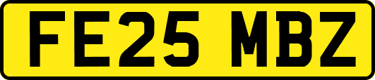 FE25MBZ